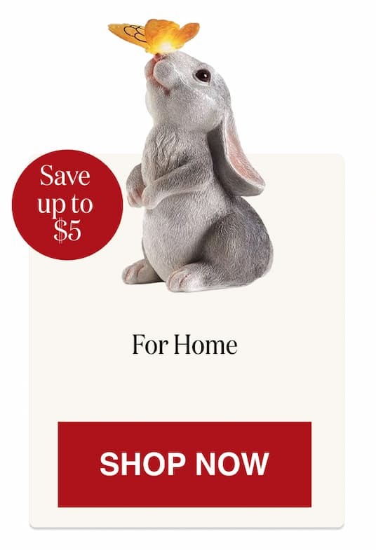 For Home [Click here to Shop Now]