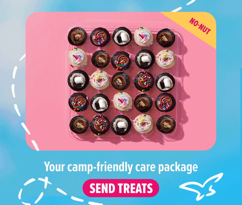 Your camp-friendly care package: the Campfire Cupcake 25-Pack (No-Nut flavors)! Send treats.