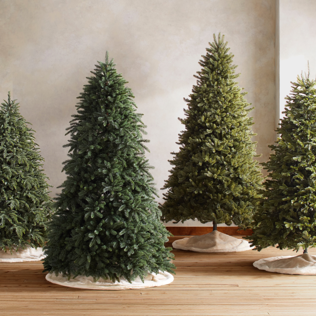 Variety of unlit Christmas trees displayed in a living room