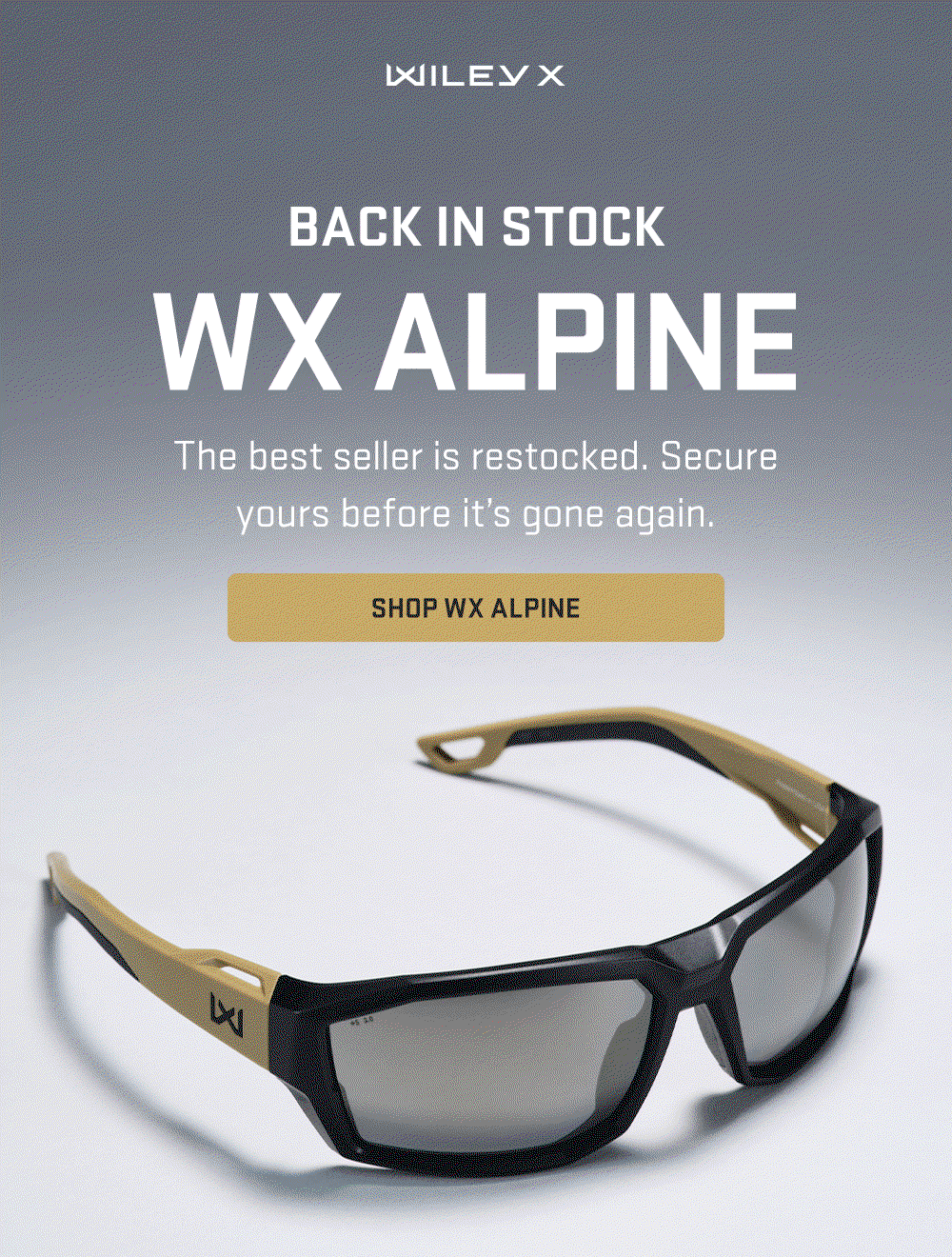  BACK IN STOCK