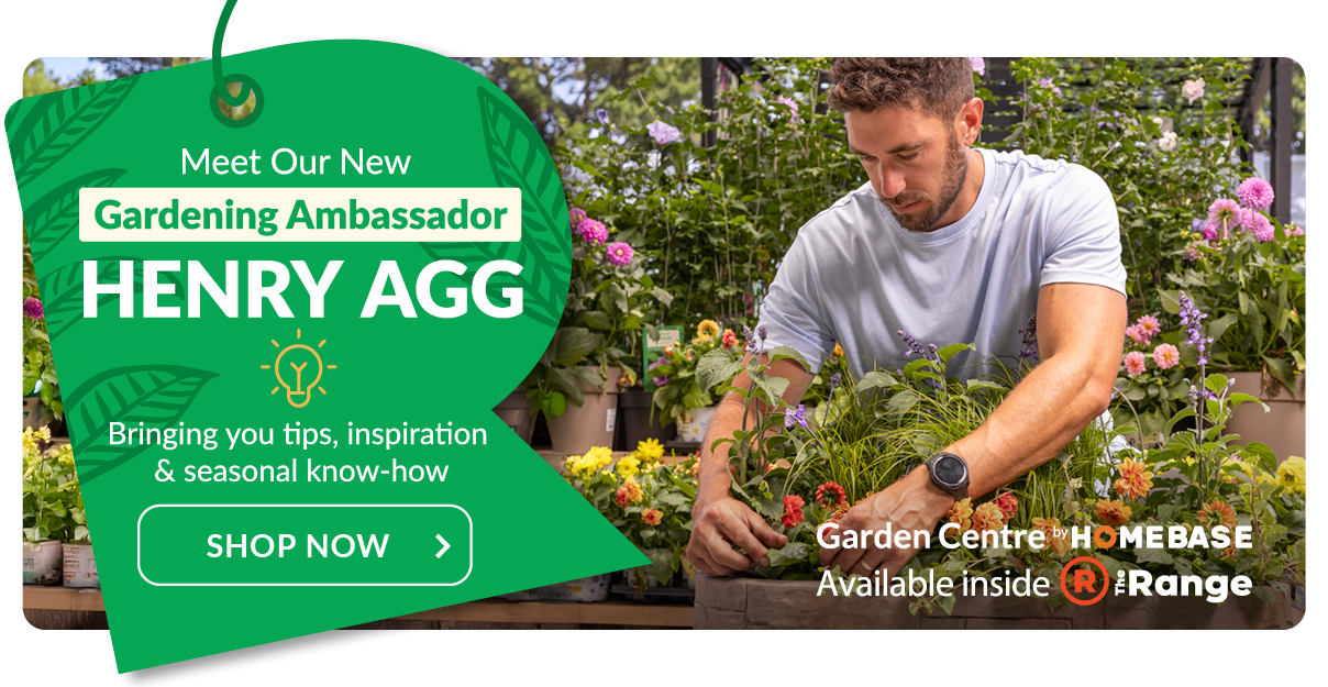 meet our new gardening ambassador henry agg. Bringing you tips, inspiration and seasonal know-how. Shop now