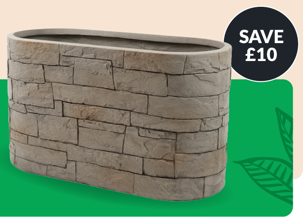 save £10