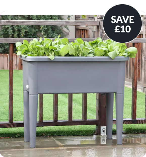 save £10