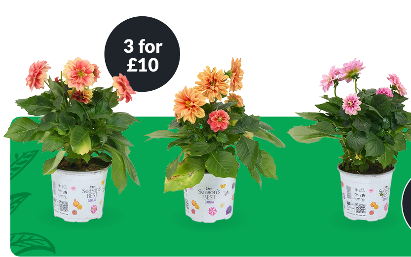3 for £10