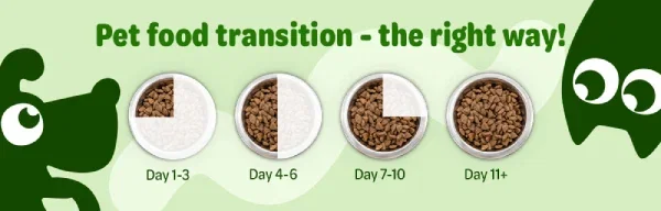 How to switch your pet's food with minimal tummy upsets