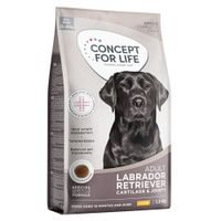Concept for Life Labrador Retriever Adult