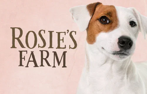 Rosie's Farm