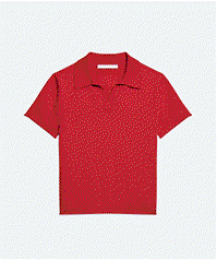 SHRUNKEN POLO
