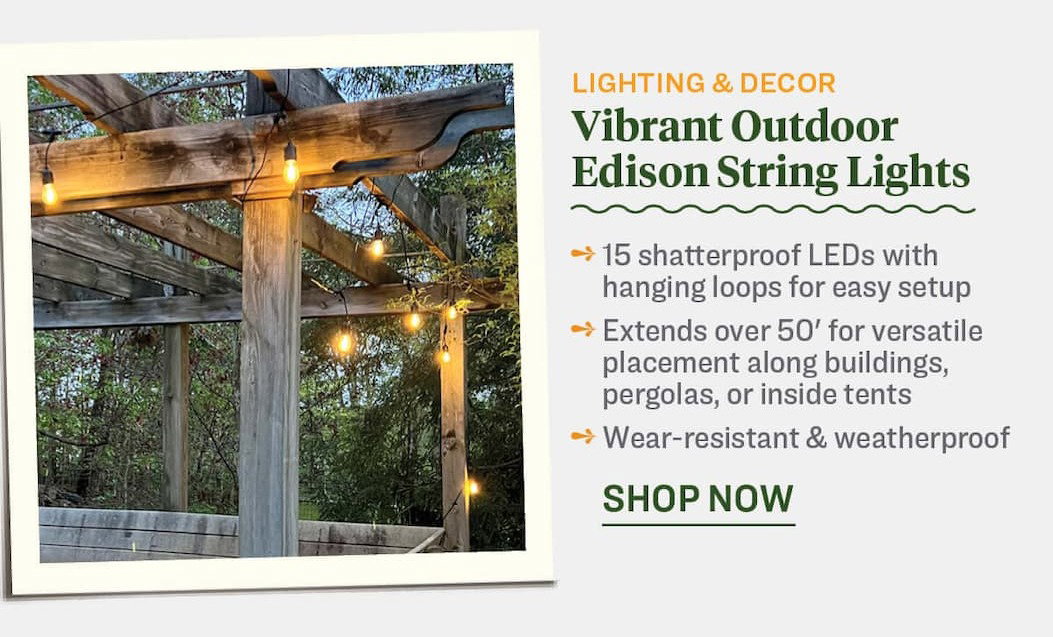 Vibrant Outdoor Edison String Lights