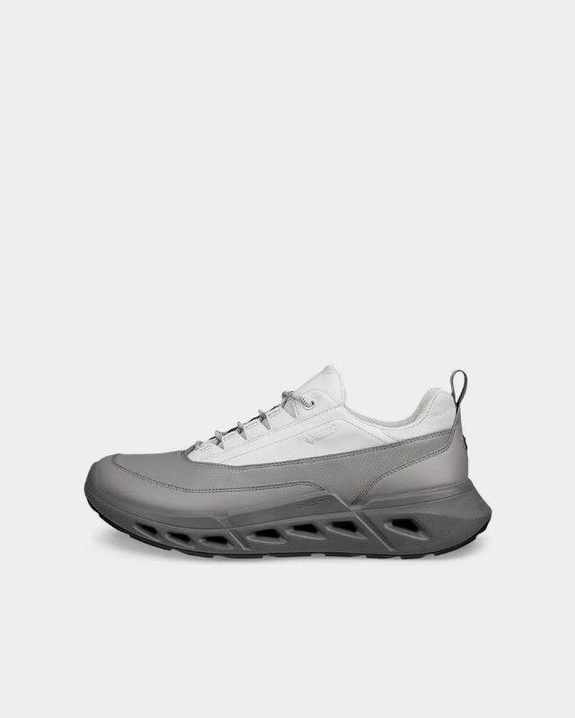 ECCO Biom 720 Gore-Tex