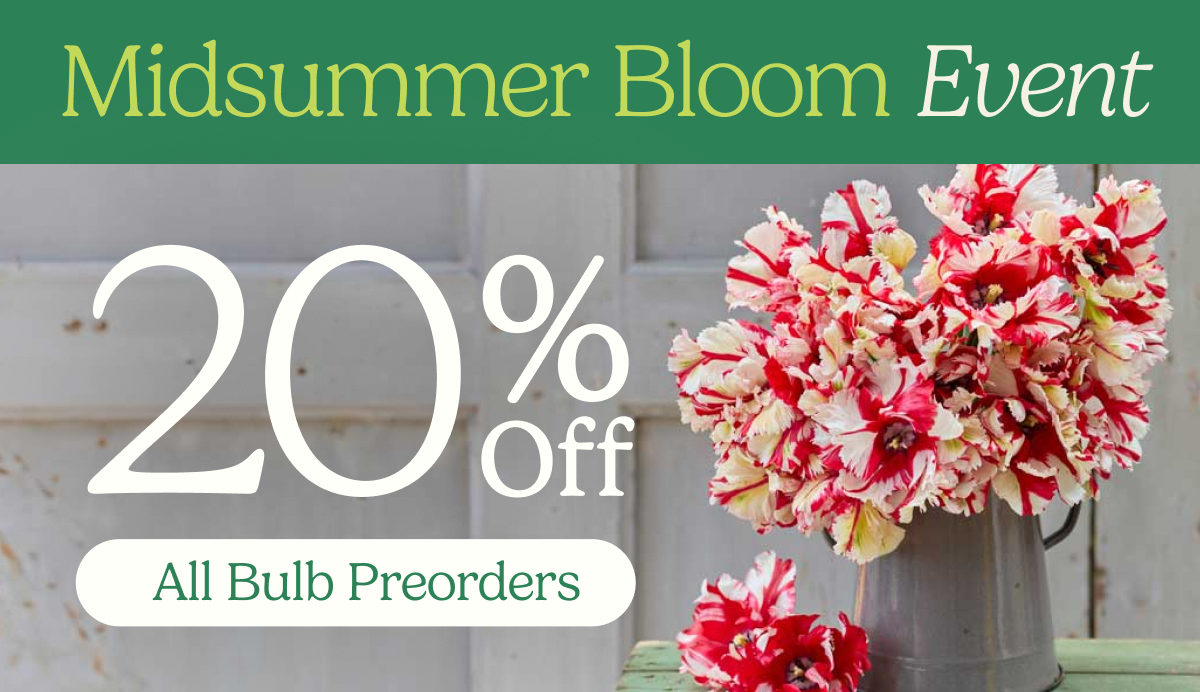 Midsummer Bloom Event – 20% Off All Bulb Preorders
