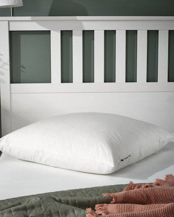 Find bed pillows