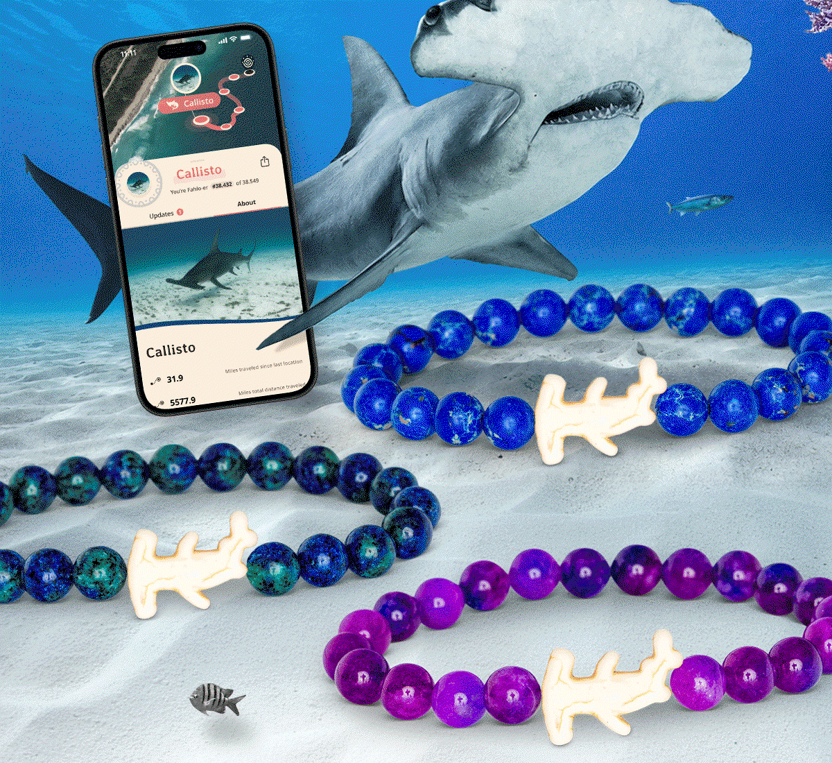 These bracelets are going fast and the exclusive Discovery Shark Week x Fahlo collection will not be around forever. Shop now and track a real hammerhead shark in the wild.