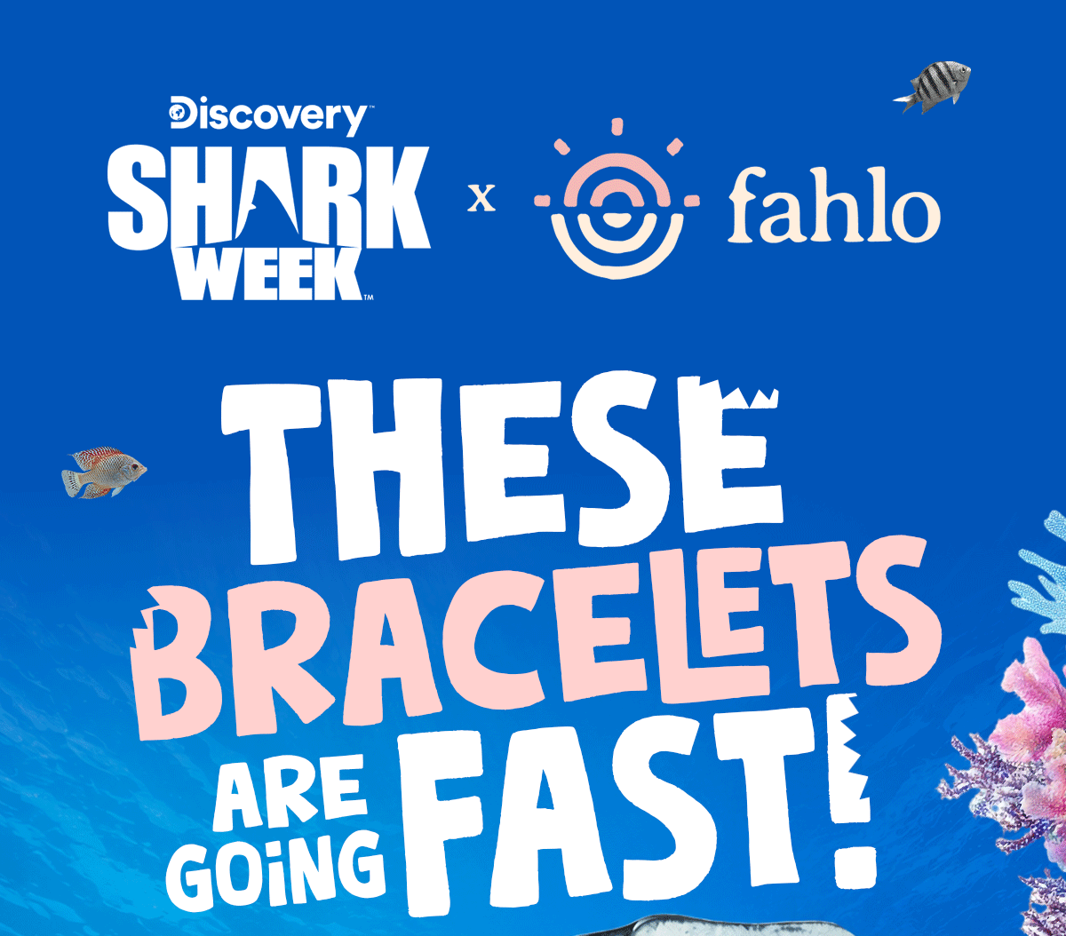 There is no time to waste! Stop treading water and track a hammerhead with a Shark Week Bracelet before they are gone for good.