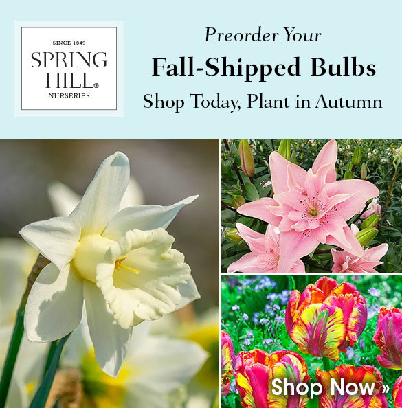 Fall-Shipped Bulbs