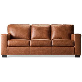 Arlington Leather Sleeper Sofa