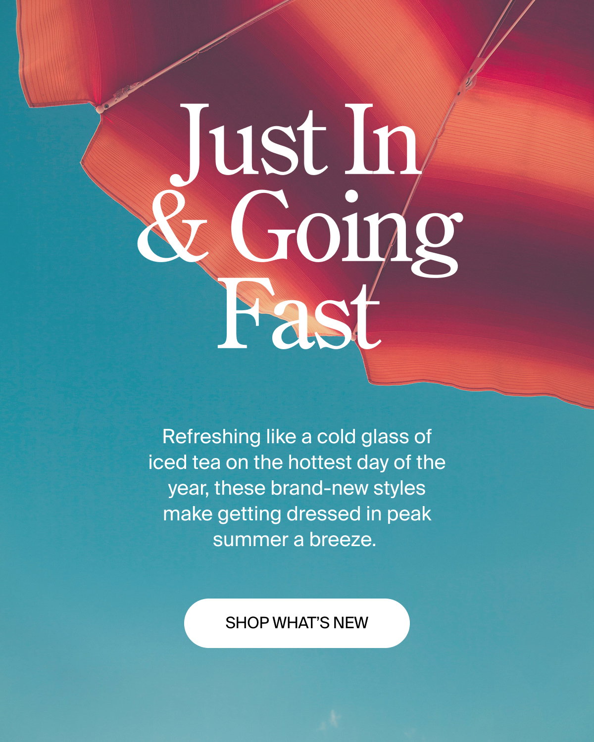 Just in & going fast