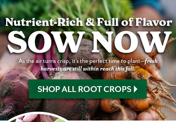 Nutrient-Rich & Full of Flavor