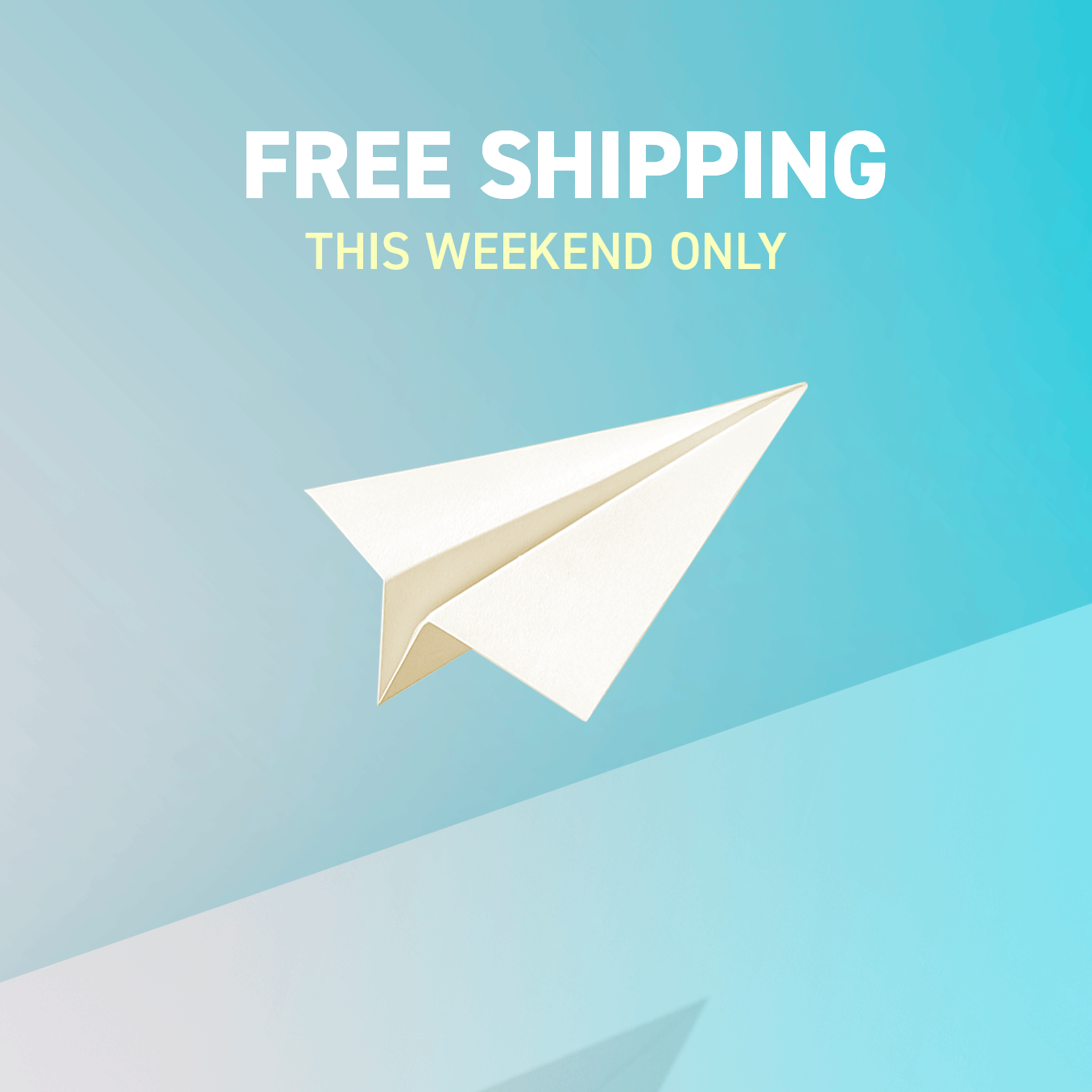 FREE SHIPPING 