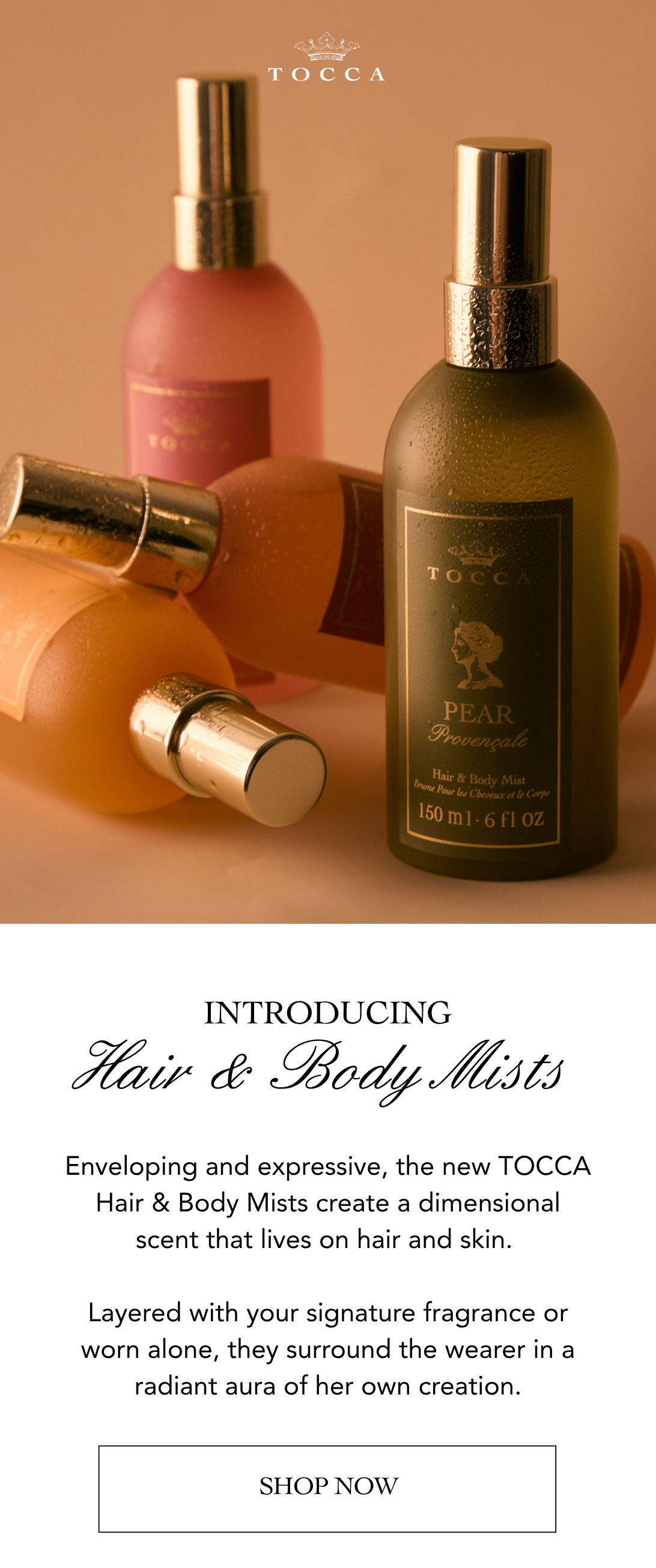 Introducing: Hair & Body Mists