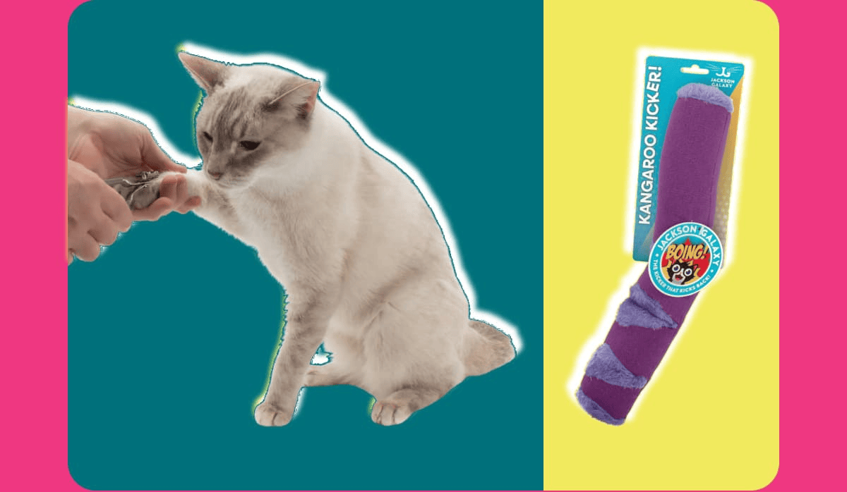Easier Nail Trim Duo