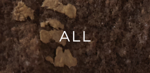 Shop All