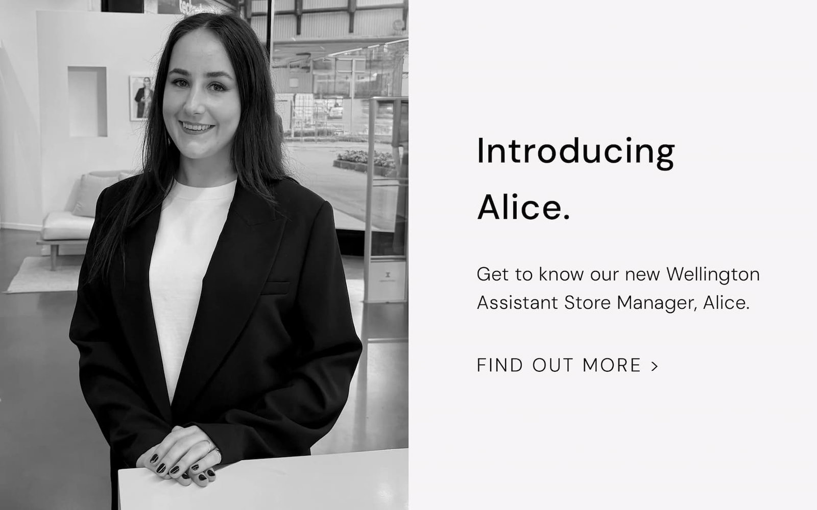 Introducing Alice