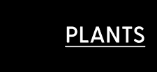PLANTS