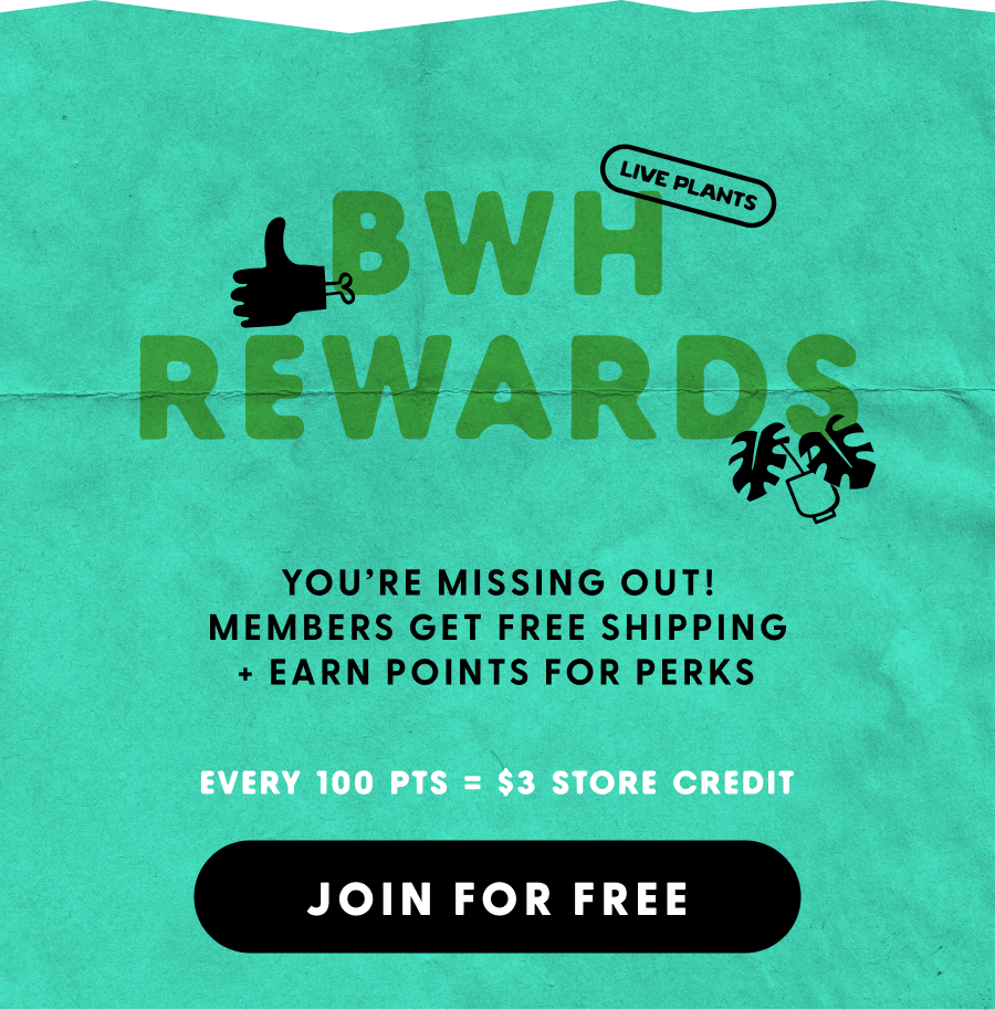 Join BWH Rewards for free and earn points on purchases, plus get free shipping!