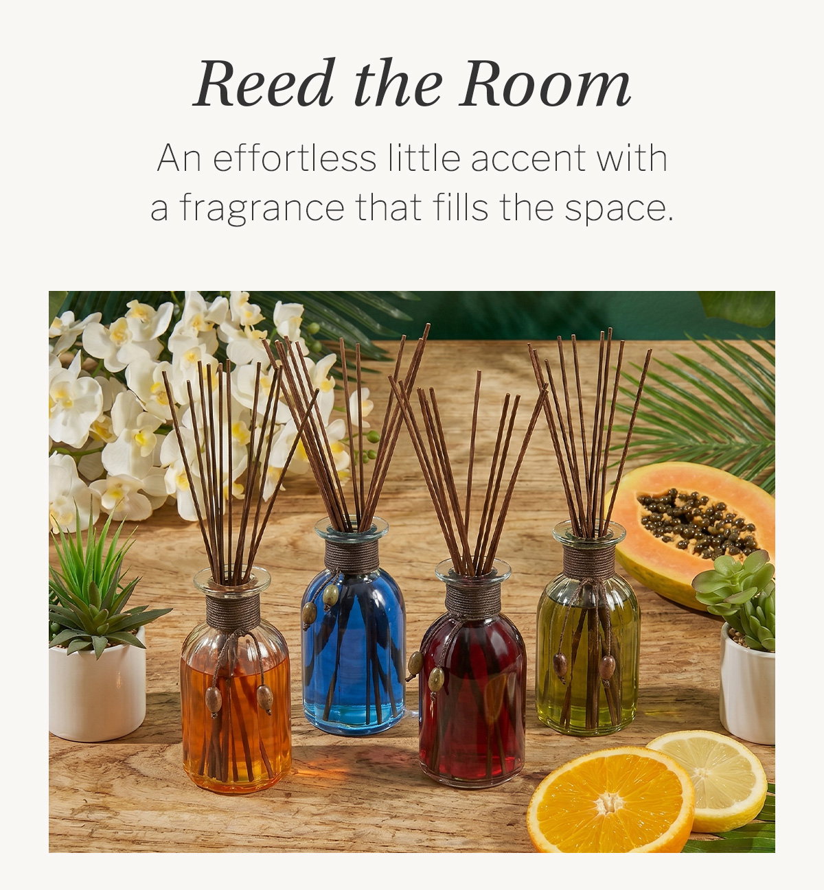reed diffusers & refills