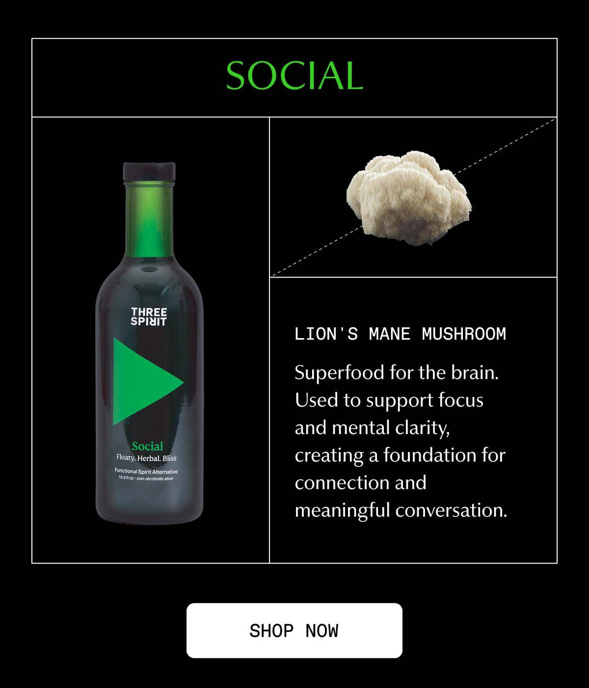 Social | Lion's Mane Mushroom | Superfood for the brain. Used to support focus and mental clarity, creating a foundation for connection and meaningful conversation. | [ SHOP NOW ]