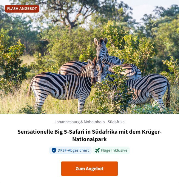 Sensationelle Big 5-Safari in Südafrika mit dem Krüger-Nationalpark