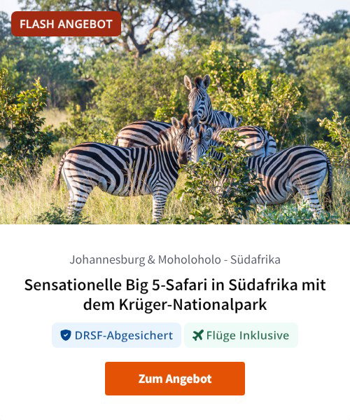 Sensationelle Big 5-Safari in Südafrika mit dem Krüger-Nationalpark