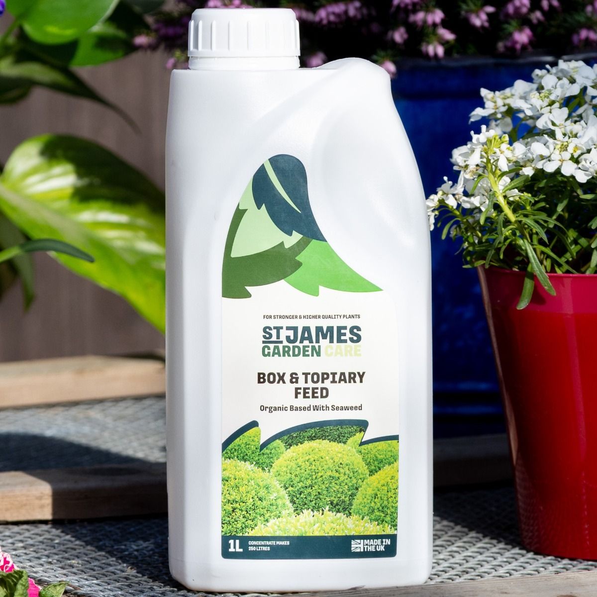 Special Organic Feed Topiary & Buxus Plants