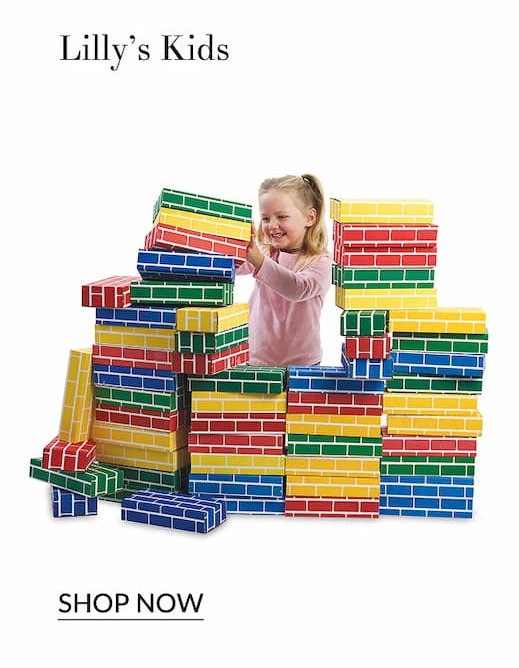 Lilly's Kids: Primary building bricks