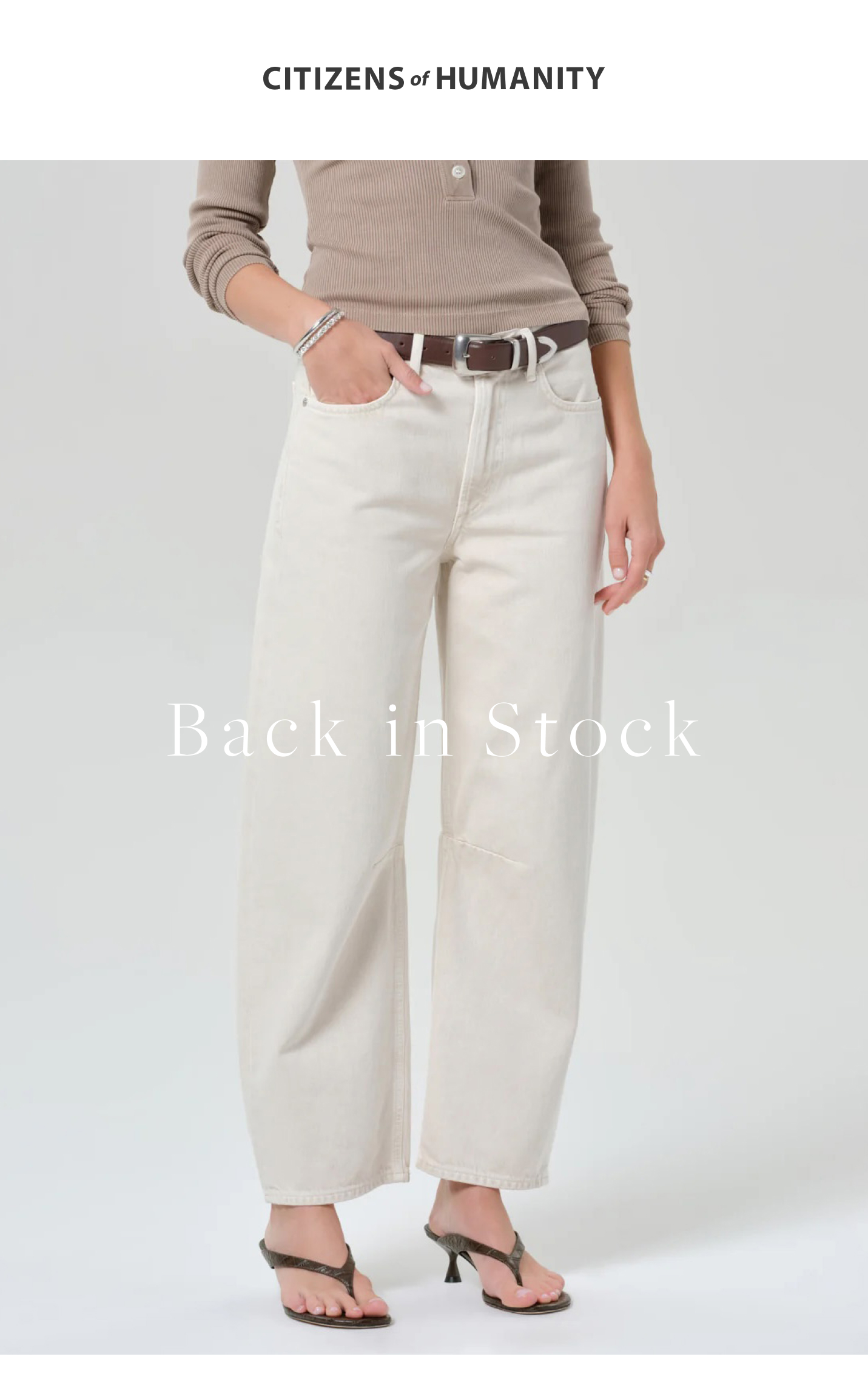 Shop Back In Stock