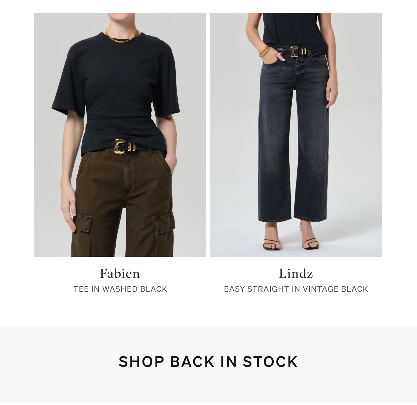 Shop Back In Stock