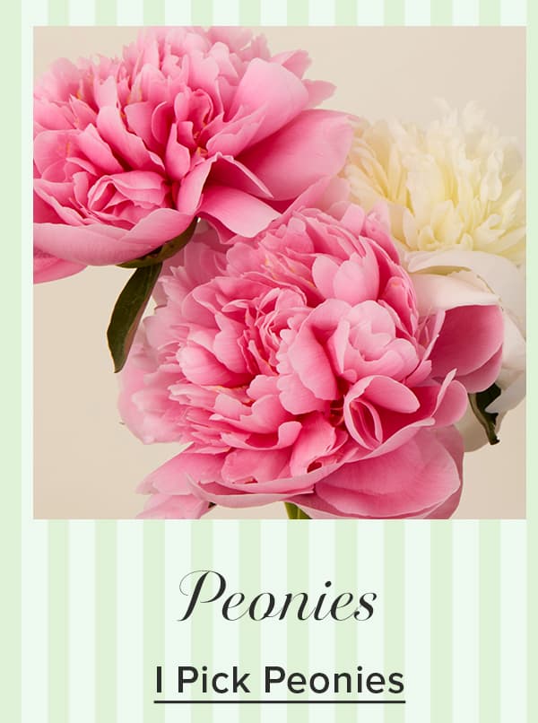 Shop Peonies