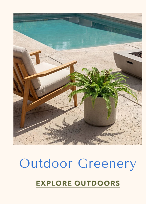 Outdoor Greenery