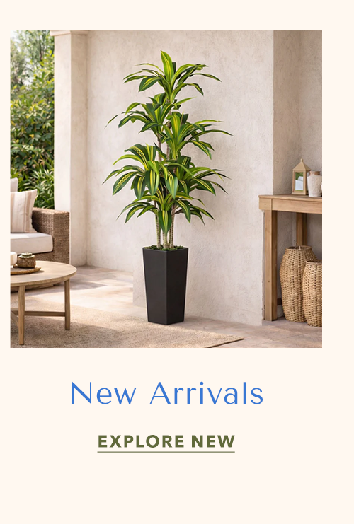 New Arrivals