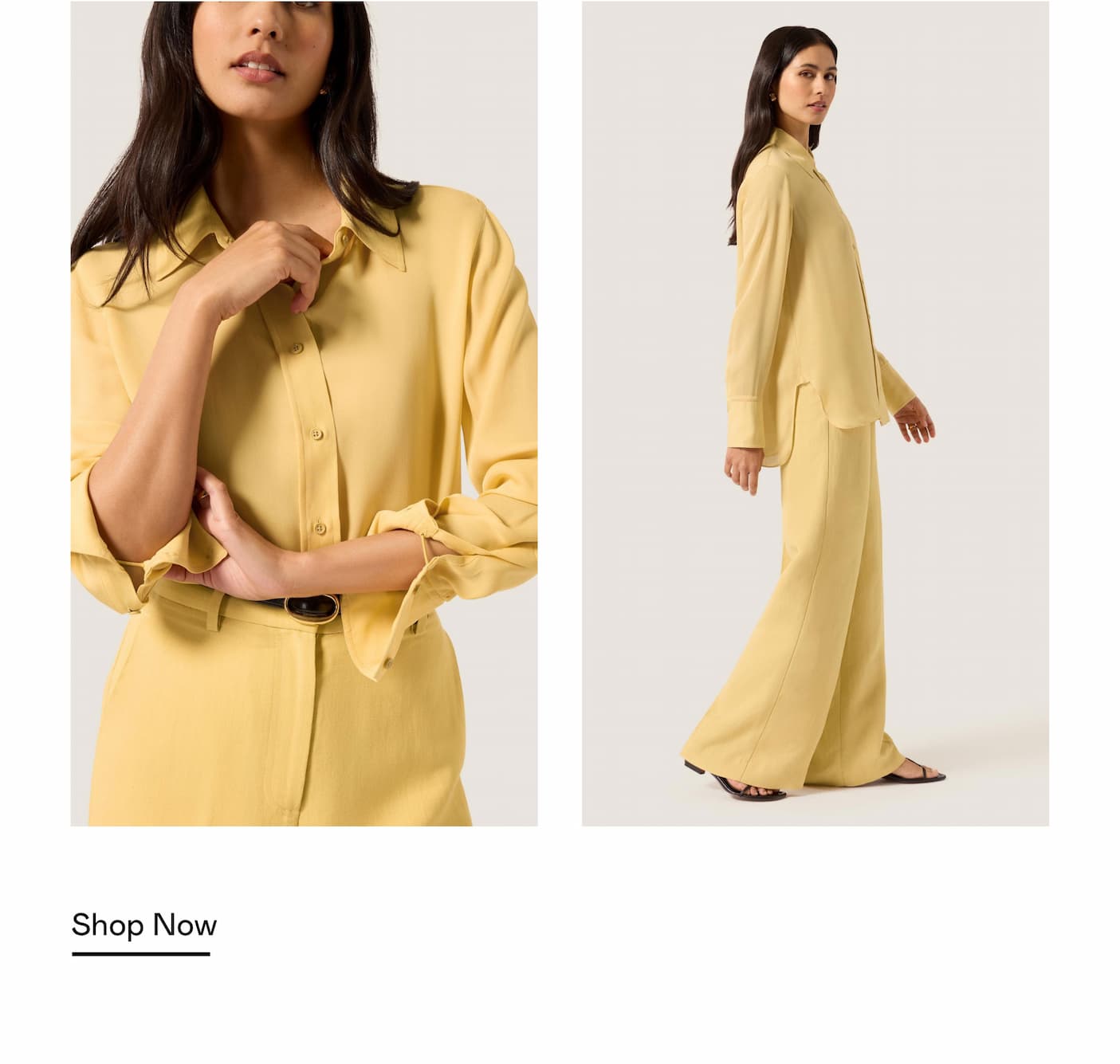Shop Sunflower