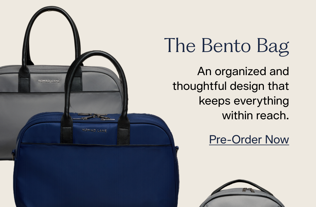 The Bento Bag
