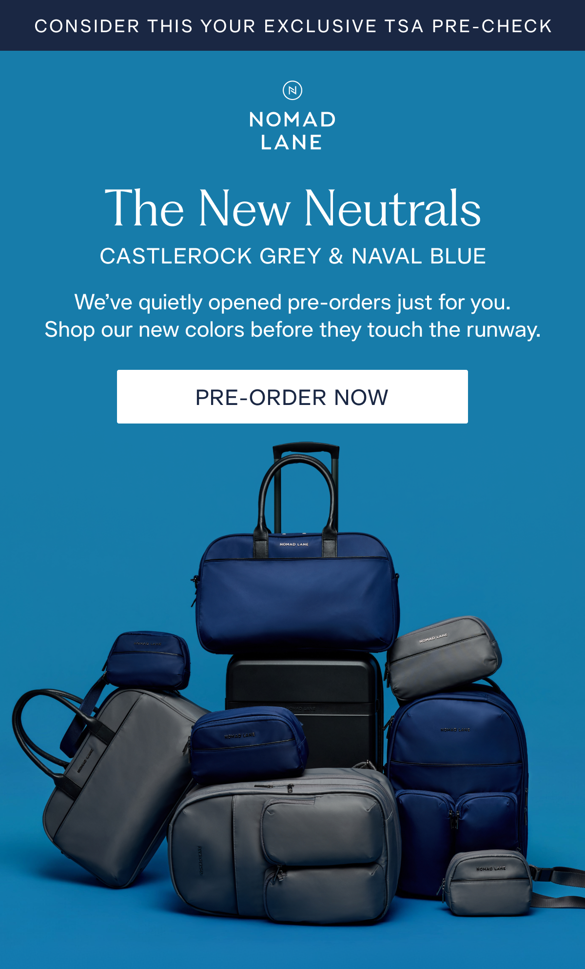 The New Neutrals