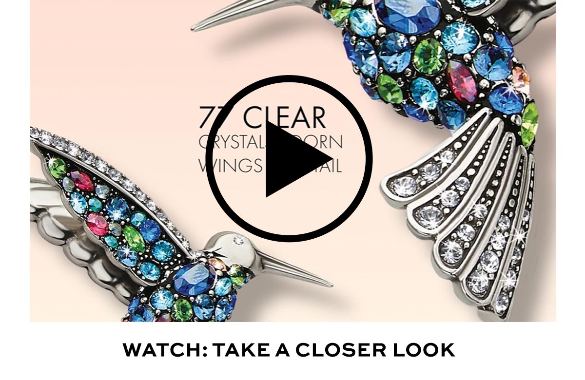 Watch: Take A Closer Look