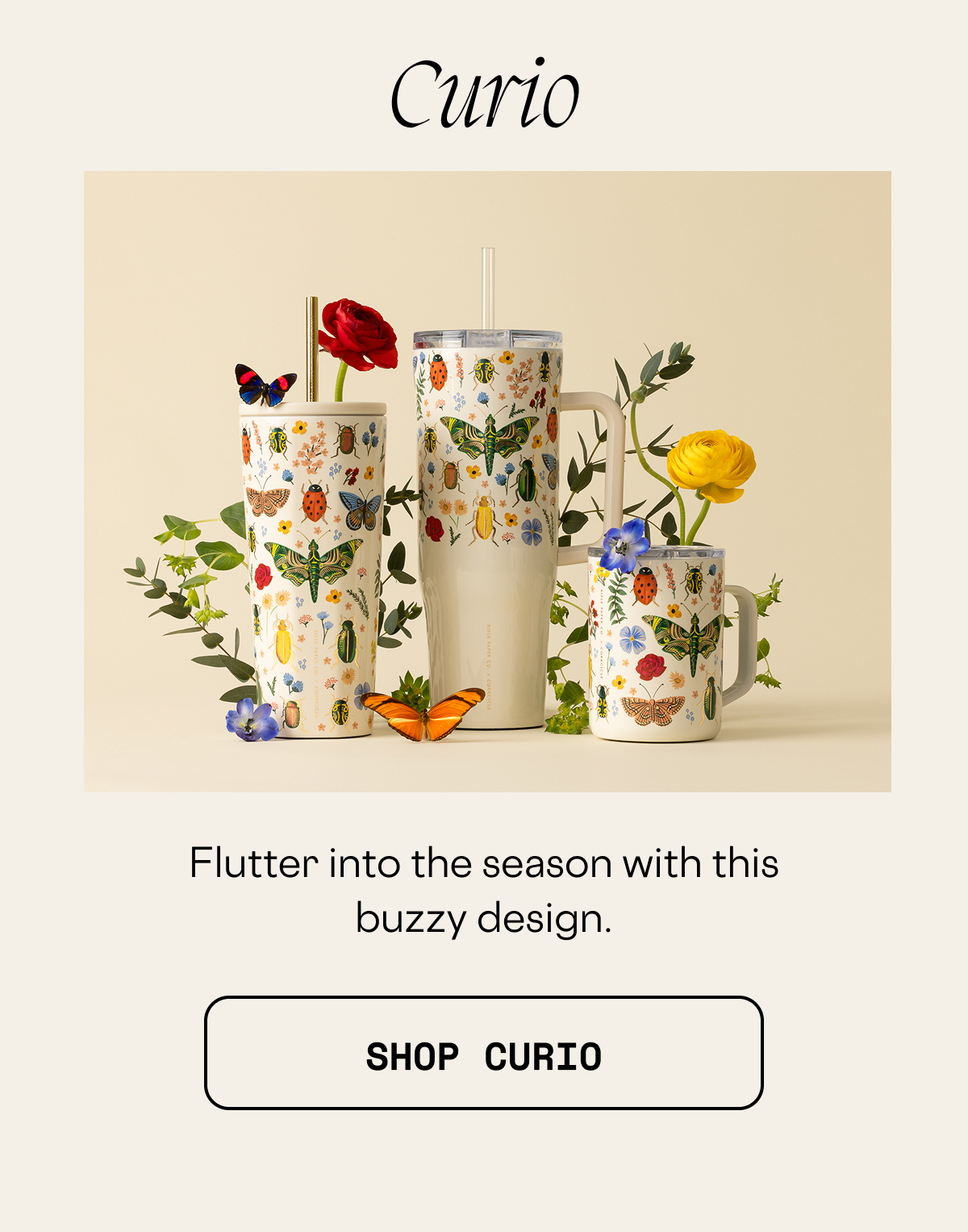 Shop Rifle Paper Co. Curio