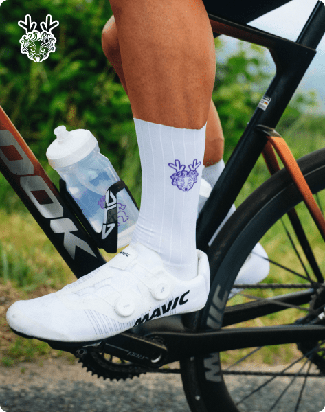 Chaussettes