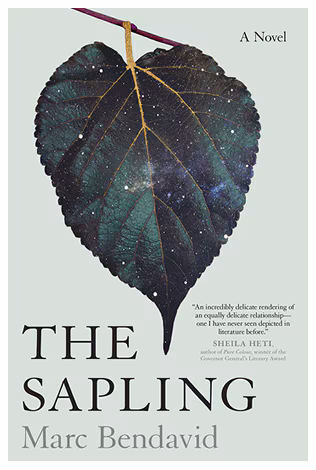 The Sapling by Marc Bendavid