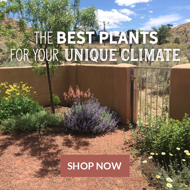 Advance Sale Save 20%