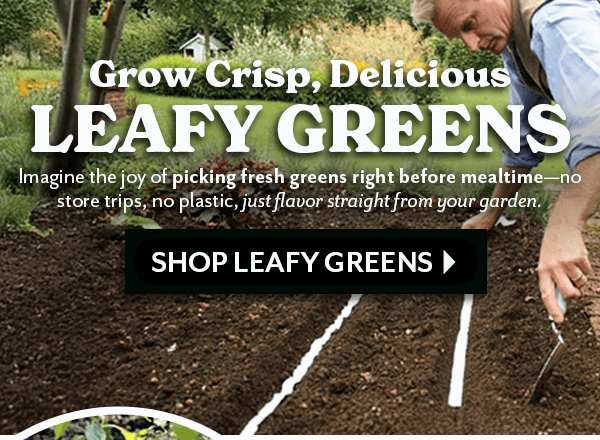 Grow Crisp, Delicious LEAFY GREENS
