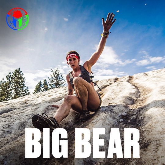 big bear